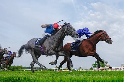 gethin stakes