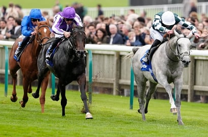 2025 Dewhurst Stakes Result and Replay - Gewan bounces back with shock Group One win