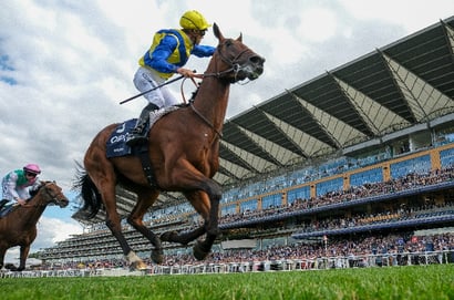 goliath ascot