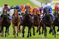 goodwood