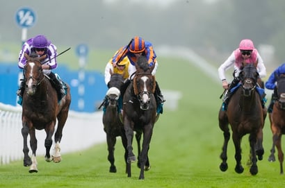 2025 Goodwood Cup Result and Replay - Scandinavia beats Illinois as Ballydoyle dominate