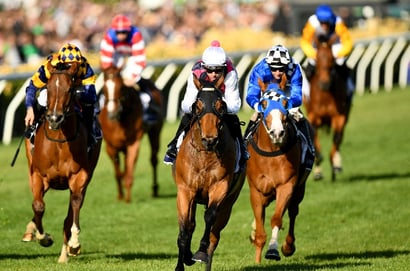 The Goodwood 2026 - Barrier Draw & Final Field