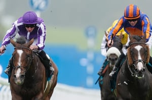 goodwood cup scandinavia