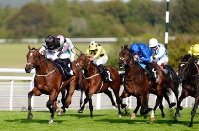 goodwood racecourse