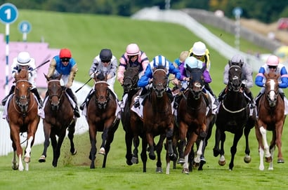 goodwood racecourse