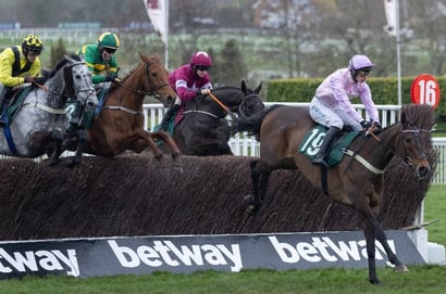 grand annual cheltenham