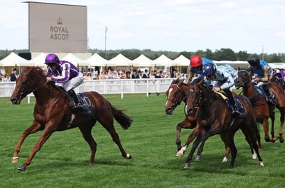 great barrier reef ascot