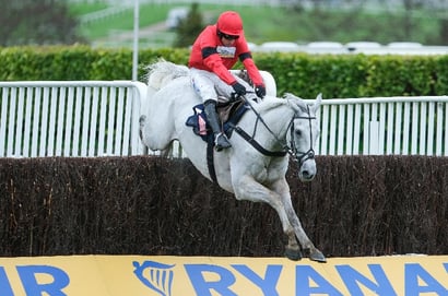 2025 Aintree Bowl Tips - Skelton's star the one to beat at Aintree