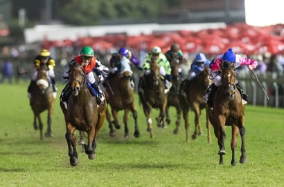 greyville