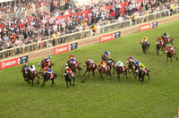 greyville