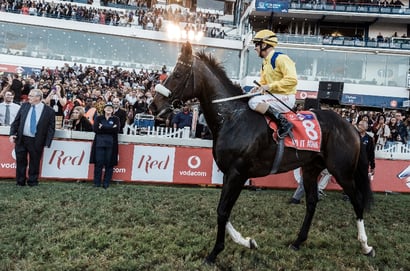 greyville