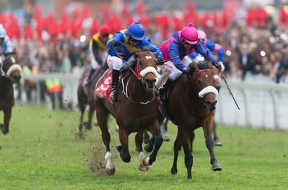 greyville durban