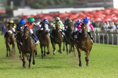 greyville durban