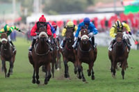 greyville durban july
