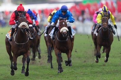 greyville july