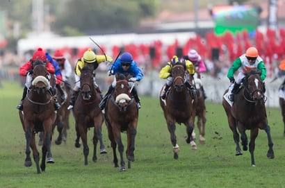 greyville racecourse