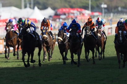 greyville racecourse