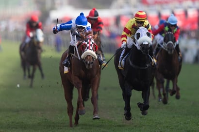 greyville racecourse