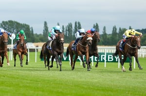 2026 Hackwood Stakes Live Stream - Watch the Newbury race online