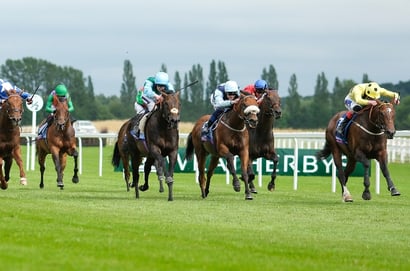hackwood stakes newbury