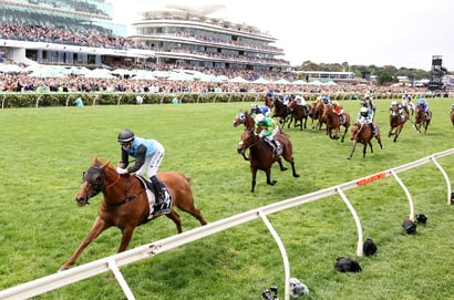 half yours flemington