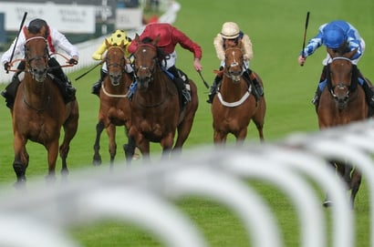 2025 Goodwood Cup Tips - Gosden's outsider offers value against favourites