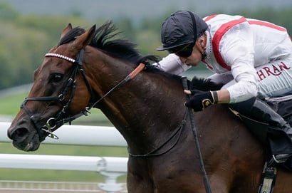 hamish stakes