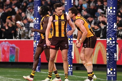 hawthorn hawks