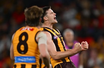 hawthorn hawks