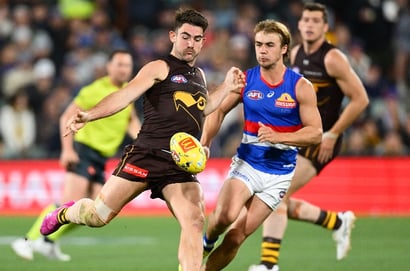 hawthorn western bulldogs