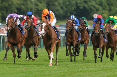 haydock park racecourse