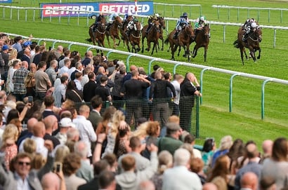 haydock racecourse
