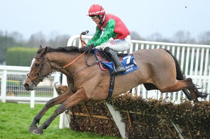 henri the second hurdle