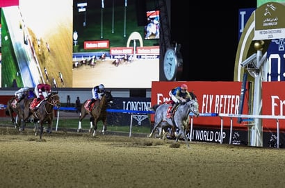 2026 Dubai World Cup Tips - Cox's grey to do the Dubai double?