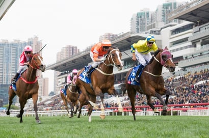 hk - qld derby