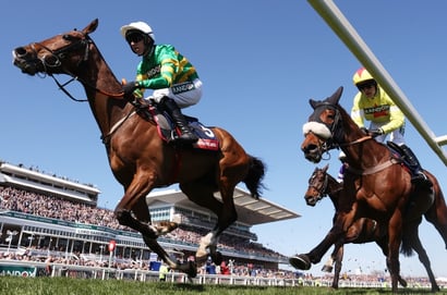 Cheltenham Festival 2026 Ante-Post Tips - Take 16/1 about this Stayers' Hurdle contender