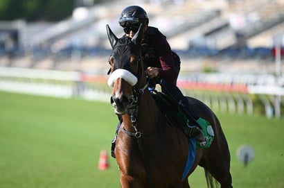 Fairview Horse Racing Tips - Get all the racing tips for Friday, 22 August 2025