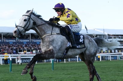 Cheltenham Festival 2026 Day 2 - Results and Photos