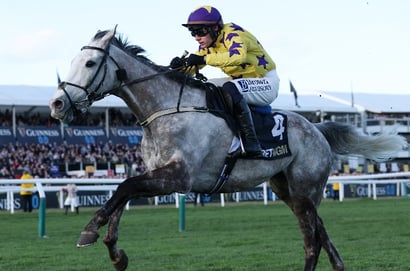 2026 Punchestown Champion Chase Odds - Il Etait Temps, Marine Nationale and Majborough to clash