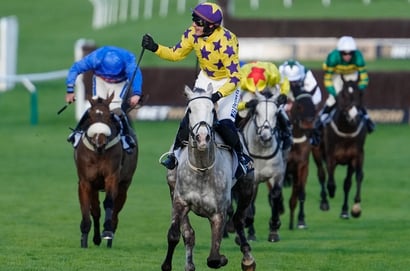 2026 Punchestown Champion Chase Tips - Willie's grey to make hay at Punchestown