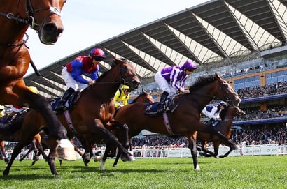 2025 Ascot Gold Cup Tips - Is it worth taking the Ballydoyle favourite on?