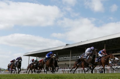 irish 1000 guineas