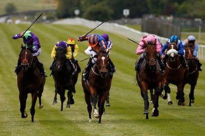 Irish 2000 Guineas 2026 FAQs - All Of Your Questions Answered