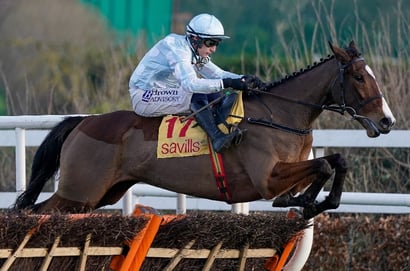 Mares' Hurdle 2026 Tips - Is Wodhooh a good thing at Cheltenham?