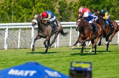 james doyle goodwood
