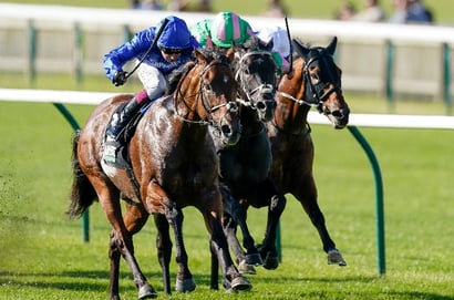 joel stakes