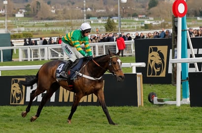 jonbon cheltenham