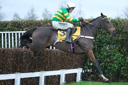 2025 Celebration Chase Tips - Will Willie thwart Jonbon's quest for another Sandown success?