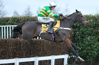 2025 Tingle Creek Tips - Defending champ the value bet at Sandown