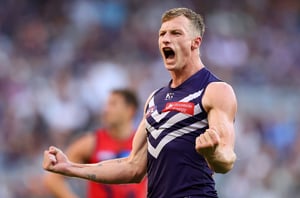 Fremantle Dockers vs Richmond Tigers Tips and Prediction